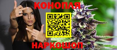 дурь Будённовск