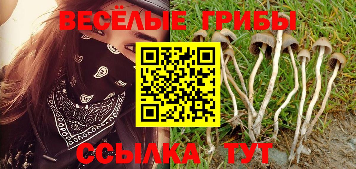Псилоцибиновые грибы мухоморы Городец