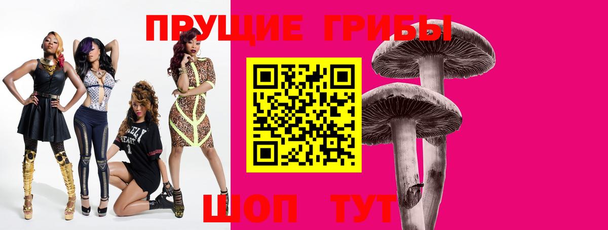 Городец  Псилоцибиновые грибы мухоморы  Псилоцибиновые грибы Psilocybe  Вход с VPN 